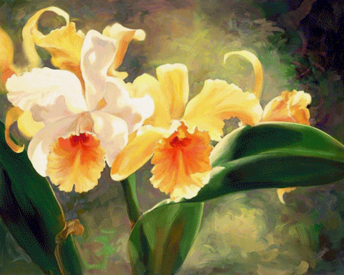 Hibel Orchids. - laurie snow-hein painter.flowers and gardens. - предпросмотр