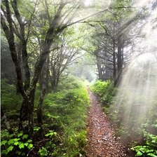 Схема вышивки «ПЕЙЗАЖ»