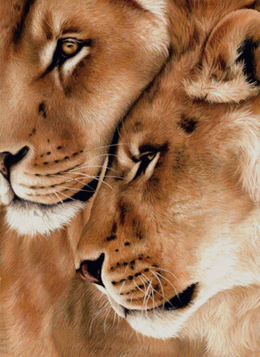 №1945217 - львы, животные, хищники - предпросмотр