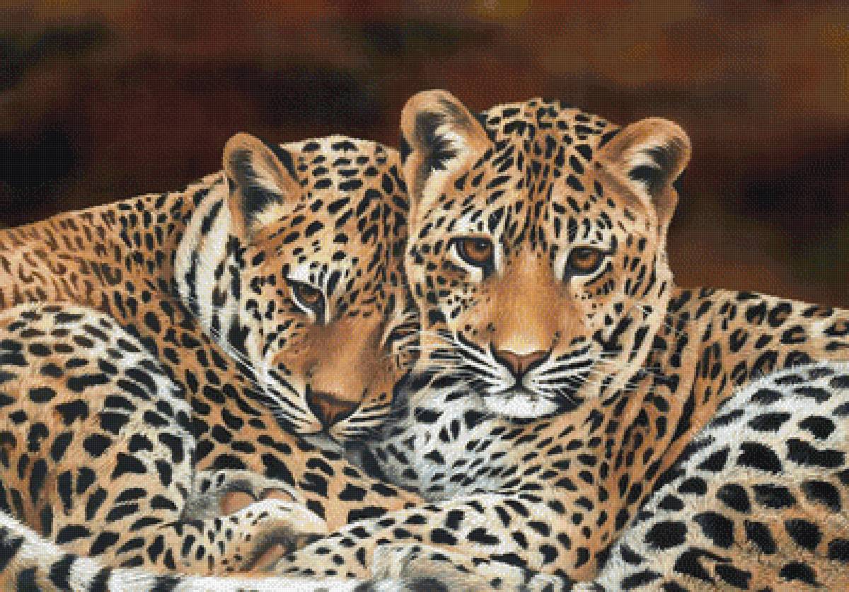 №1945219 - животные, хищники - предпросмотр