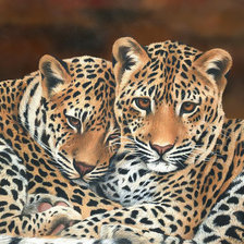 Схема вышивки «№1945219»