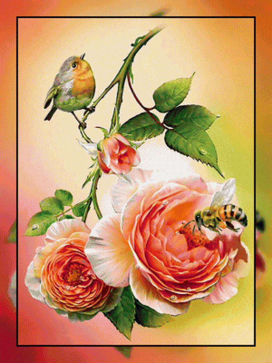 Розы и птичка. - цветы, пчела., розы, птичка - предпросмотр