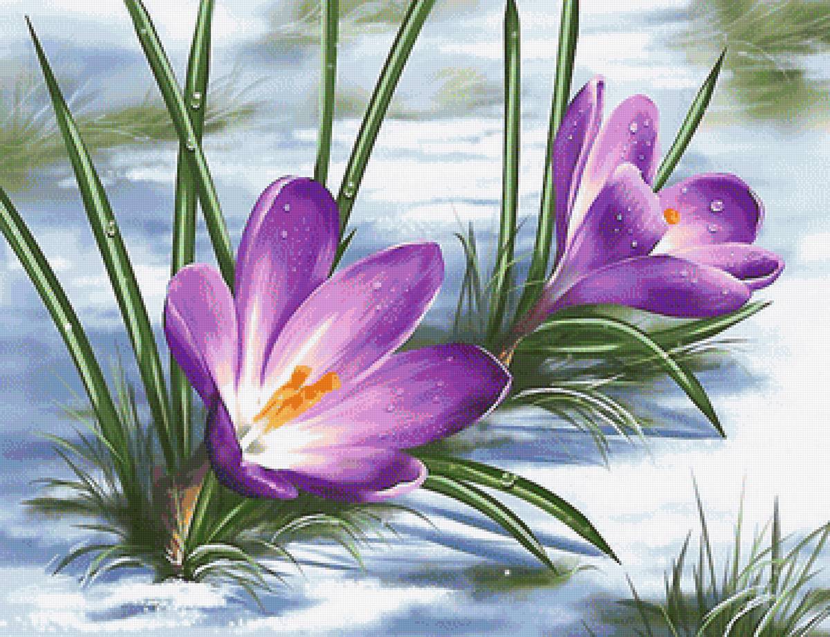 №1945306 - предпросмотр