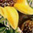 Предпросмотр схемы вышивки «Подсолнухи.» (№1945341)
