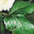 Предпросмотр схемы вышивки «№1945438»