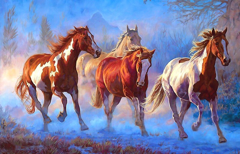 кони - мир животных - оригинал