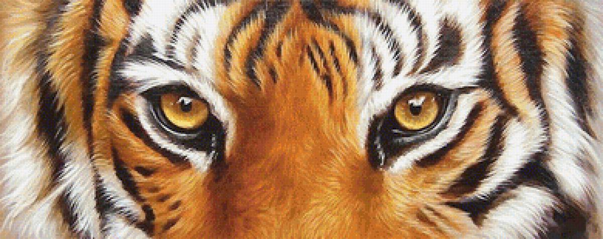 глаза тигра - мир животных - предпросмотр