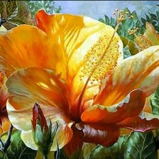 Схема вышивки «Цветы»