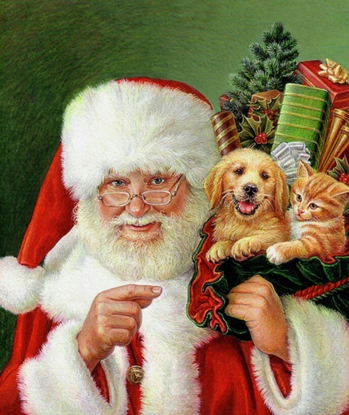 Дед Мороз с подарками - дед мороз котик и собачка - оригинал