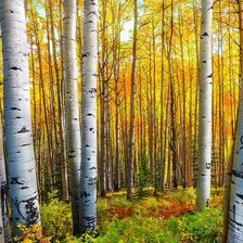 Схема вышивки «пейзаж»