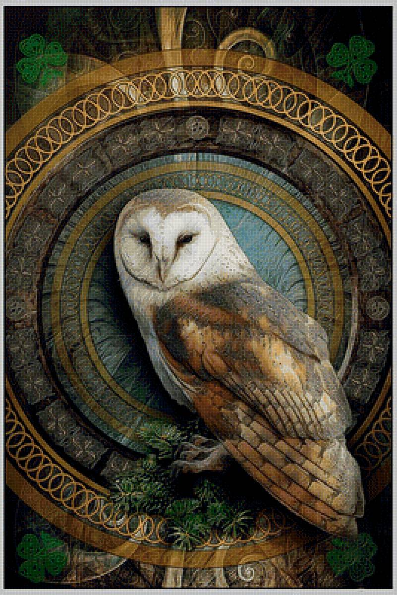 Сова. - сова, хищник., птица - предпросмотр