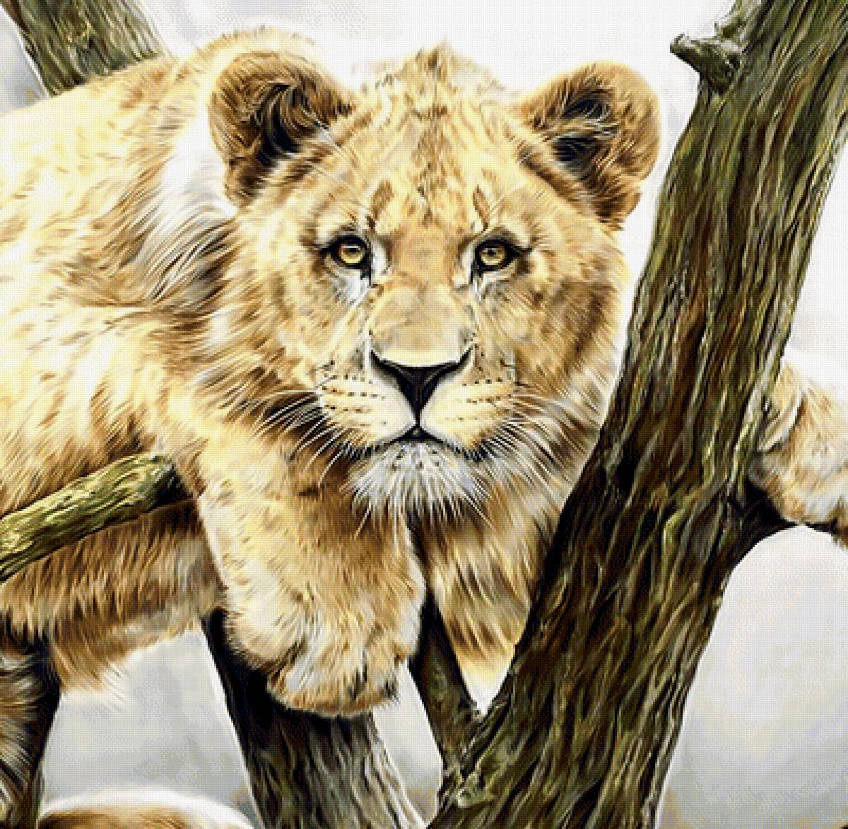 Охотница. - львица, хищник, взгляд. - предпросмотр