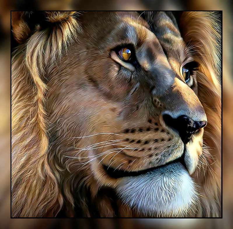 Царь зверей. - хищник, взгляд., лев - оригинал