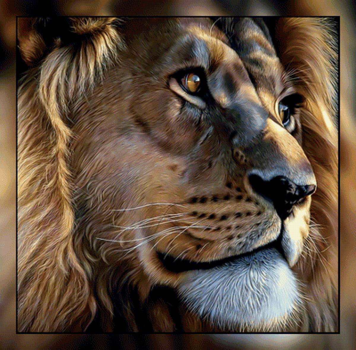 Царь зверей. - взгляд., лев, хищник - предпросмотр