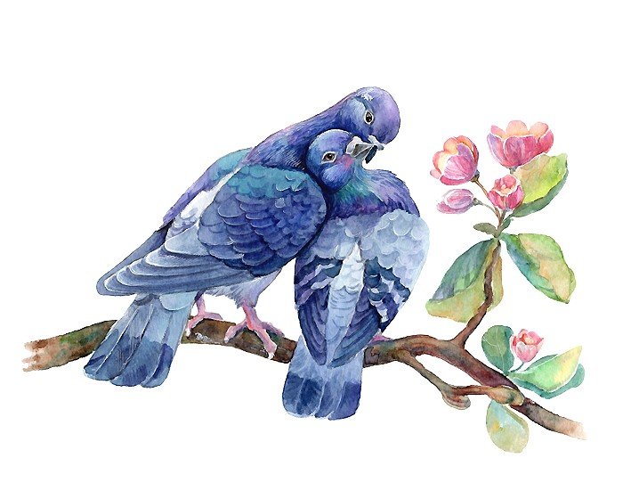 акварель - оригинал