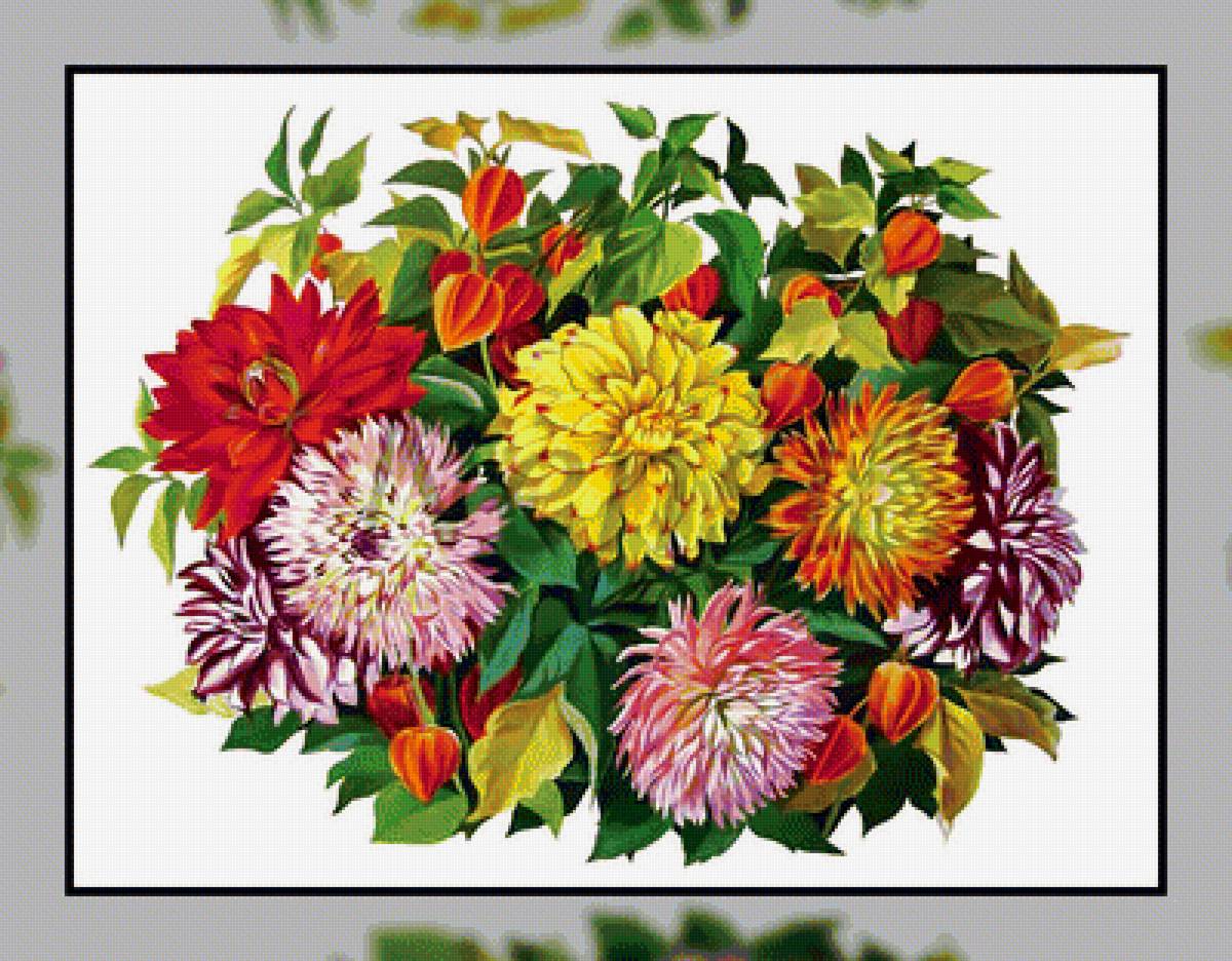 Осенний букет. - цветы, букет, георгины, физалис., астры - предпросмотр