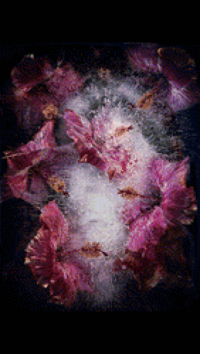 Цветы Гибискуса - предпросмотр