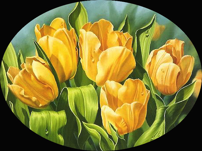 Серия "Тюльпаны" - тюльпаны, флора, цветы - оригинал