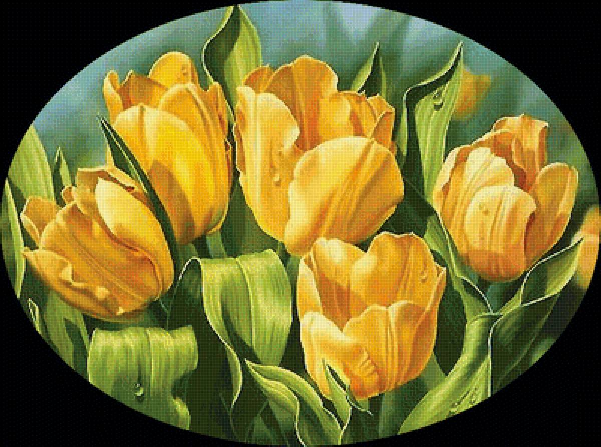 Серия "Тюльпаны" - тюльпаны, цветы, флора - предпросмотр