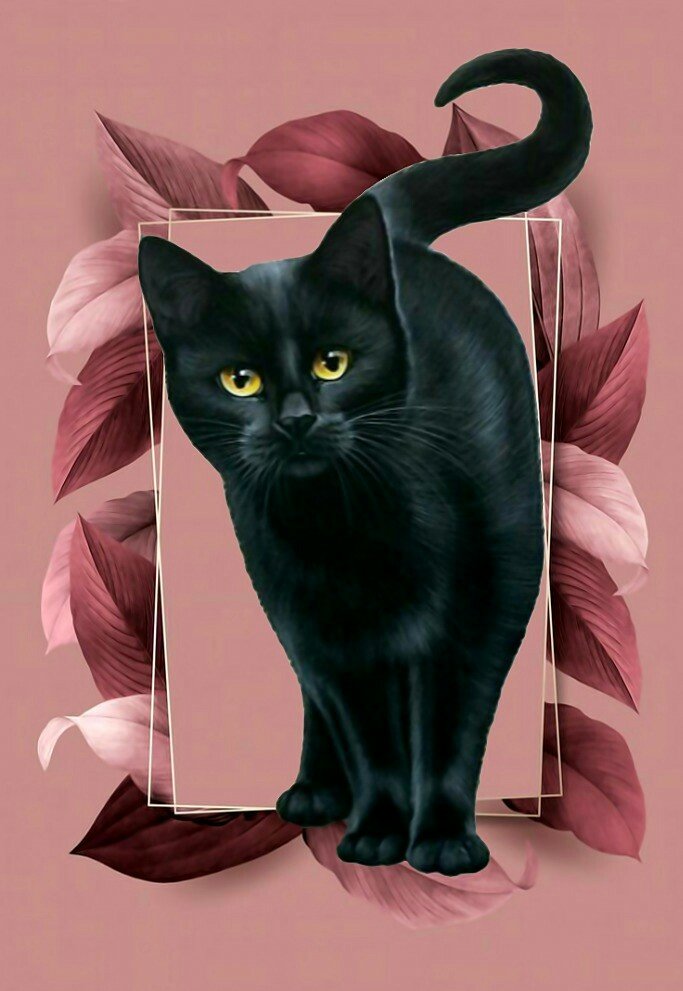 Черный котик. - кот., черный - оригинал