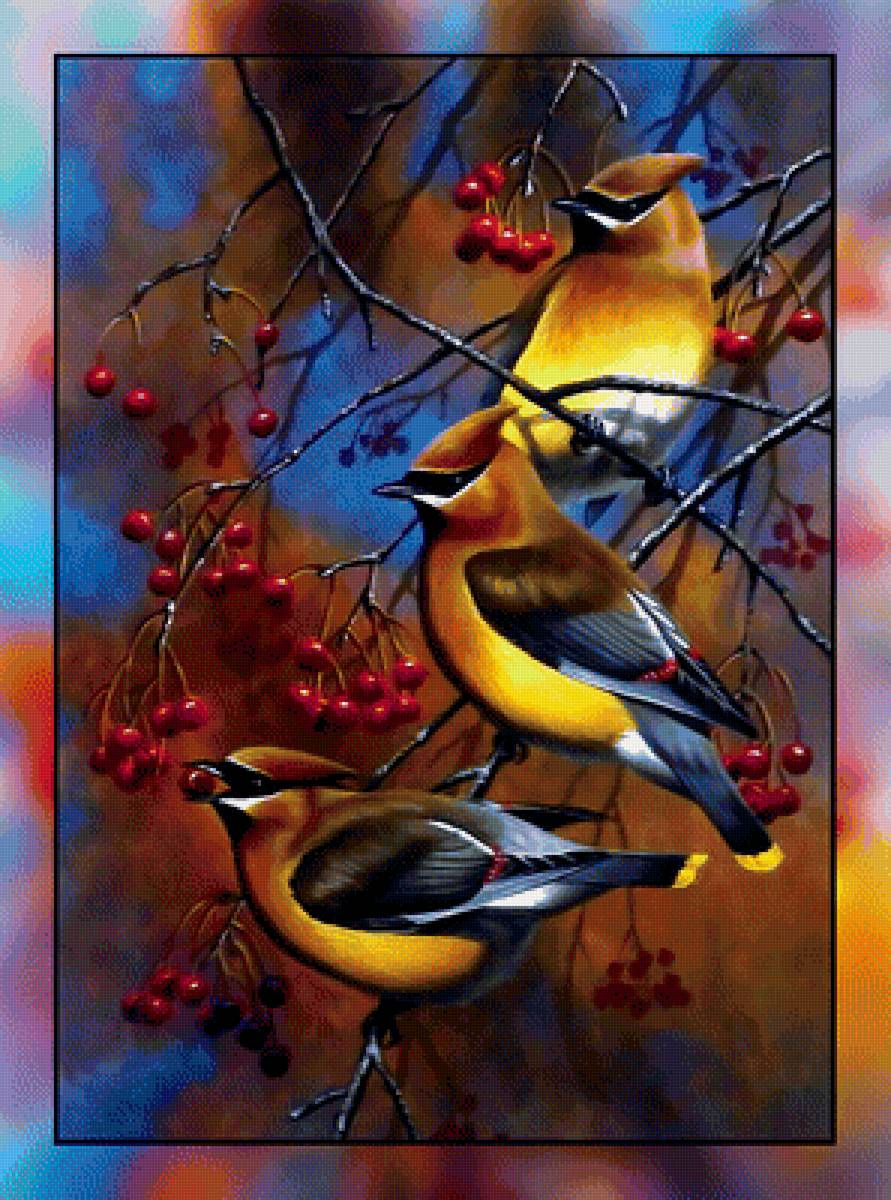 Свиристели на рябине. - птицы., свиристели, рябина - предпросмотр