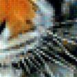 Предпросмотр схемы вышивки «Тигр.» (№1947522)
