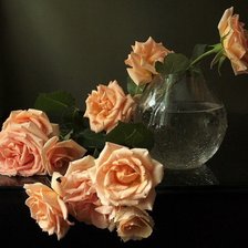 Схема вышивки «розы»