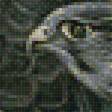 Предпросмотр схемы вышивки «птицы» (№1947631)