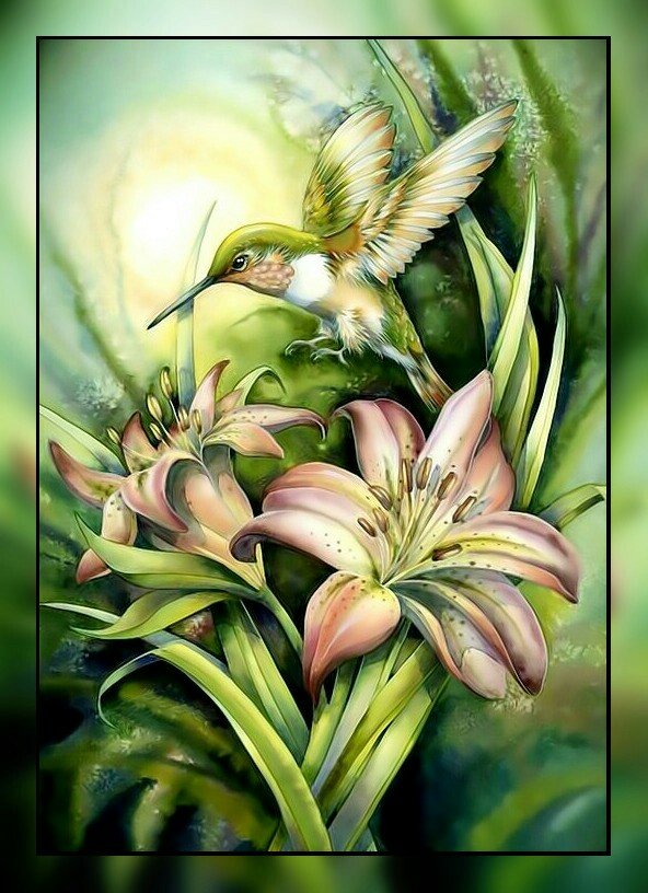 Колибри и лилии. - цветы, птичка, лилии., колибри - оригинал