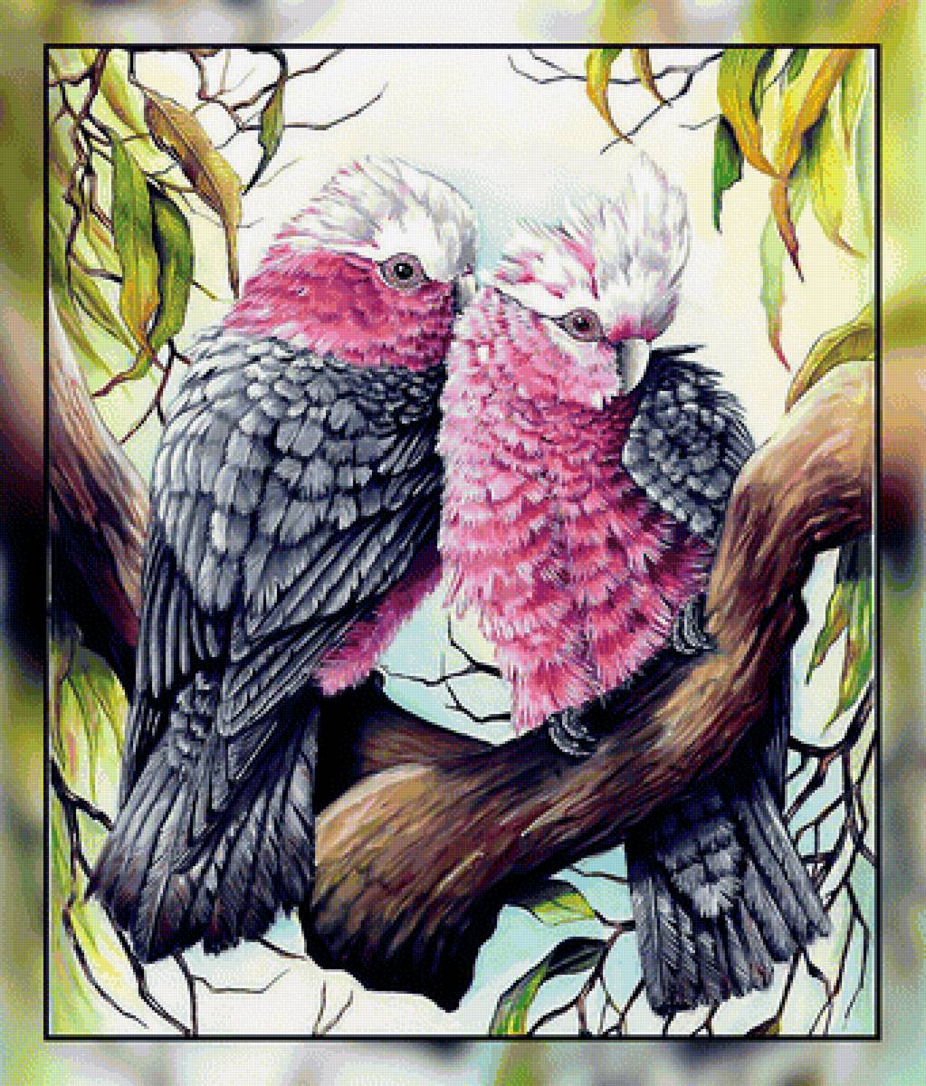 Сладкая парочка. - птицы., попугаи - предпросмотр