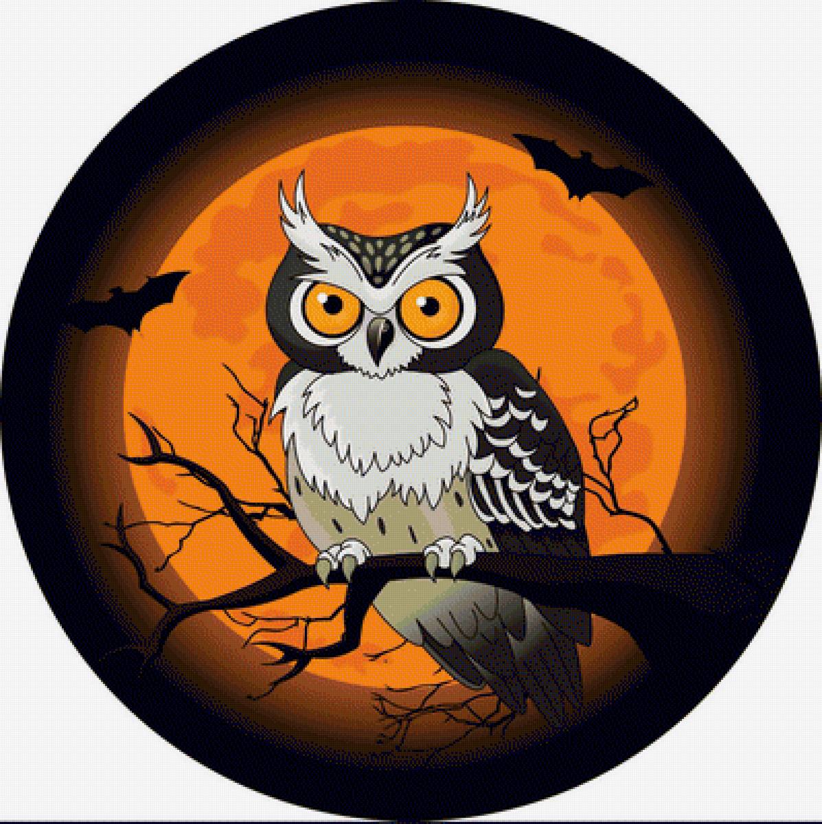 №1947972 - совы, животные, птицы - предпросмотр