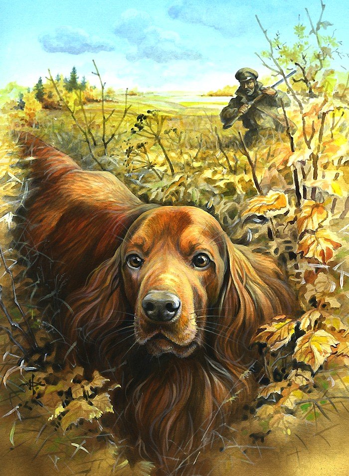 мир животных - мир животных - оригинал