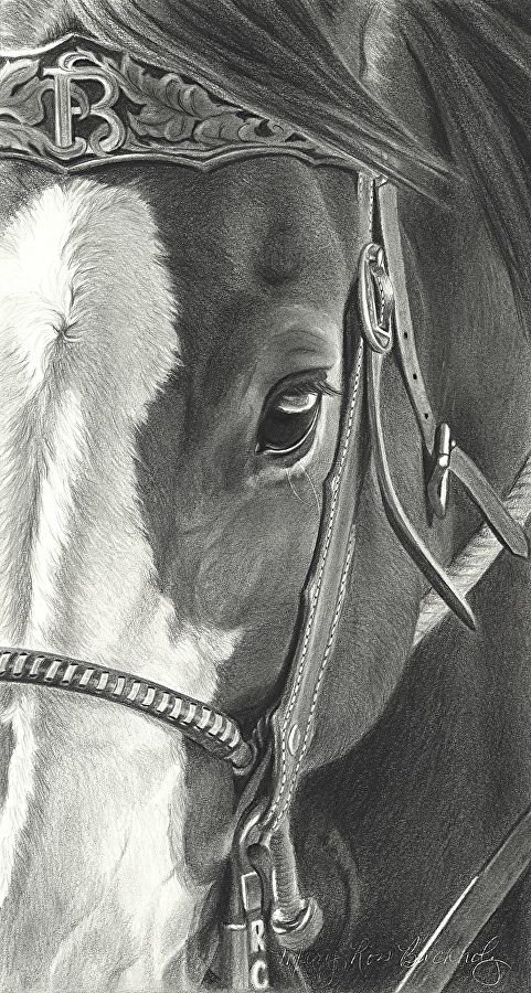 лошадь - лошади, рисунок, животные - оригинал