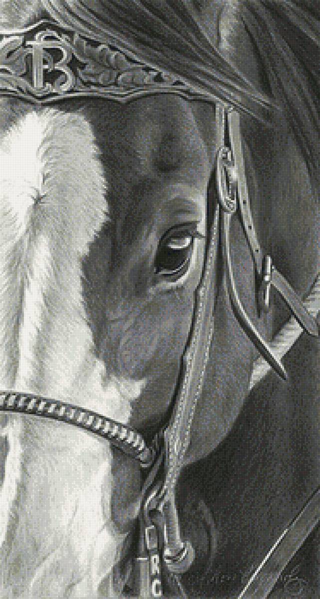 лошадь - лошади, животные, рисунок - предпросмотр