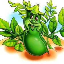 Схема вышивки «растение»