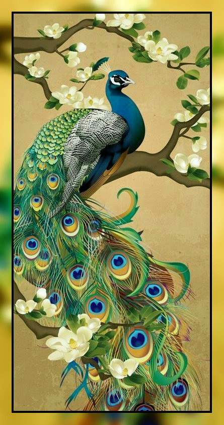 Павлин. - павлин, птицы. - оригинал