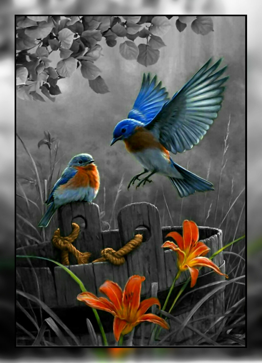 Птички. - птицы. - оригинал