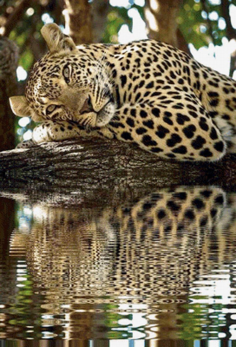 №1948662 - животные, хищники - предпросмотр