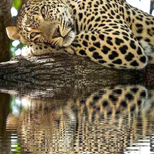 Схема вышивки «№1948662»