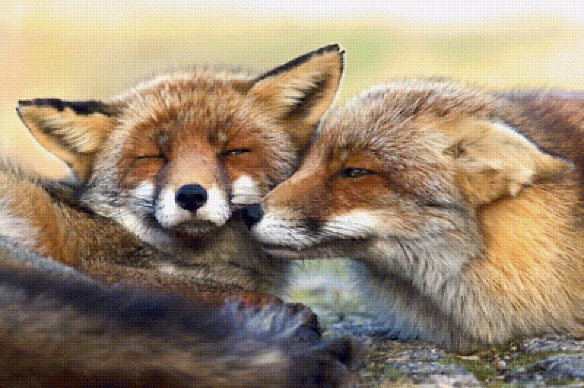 №1948669 - животные, лиса - предпросмотр