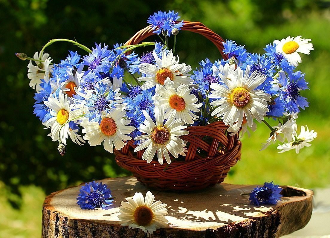 цветы - оригинал