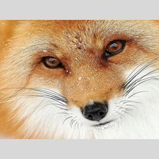 Схема вышивки «№1948721»