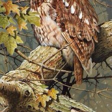 Схема вышивки «сова»