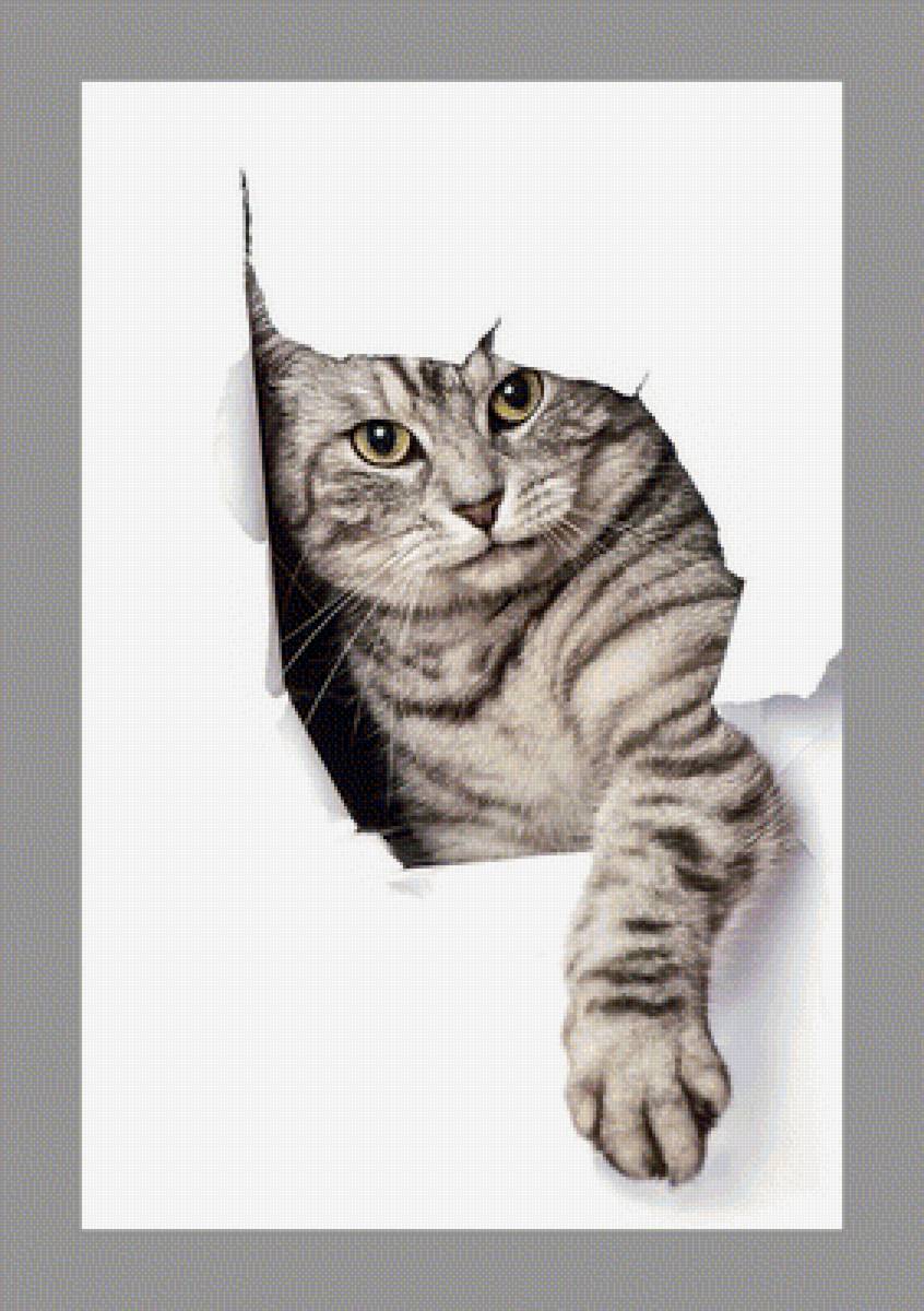 №1948830 - коты, животные - предпросмотр