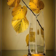 Схема вышивки «натюрморт»