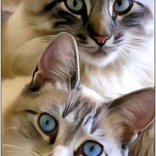 Схема вышивки «№1948987»