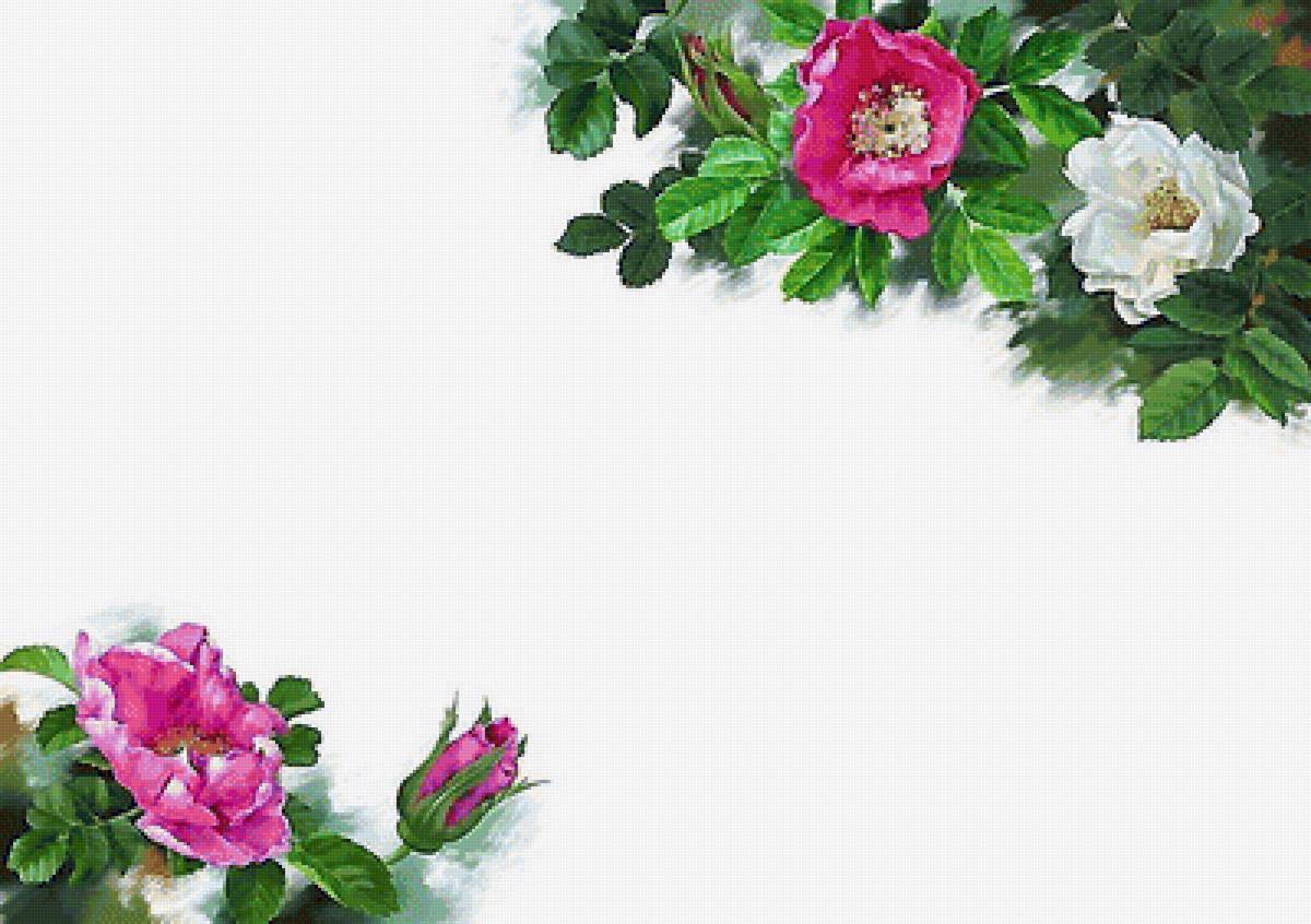 №1949111 - предпросмотр