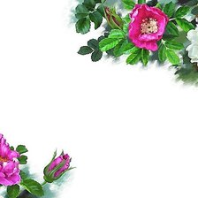 Схема вышивки «№1949111»