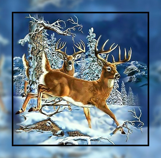 Олени в зимнем лесу. - животные, лес., зима, олени, снег - оригинал