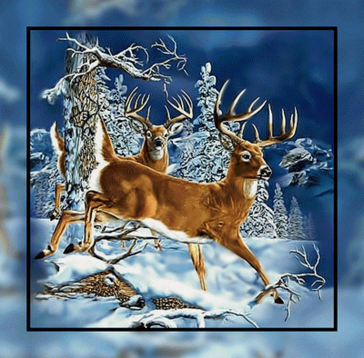 Олени в зимнем лесу. - олени, зима, снег, животные, лес. - предпросмотр